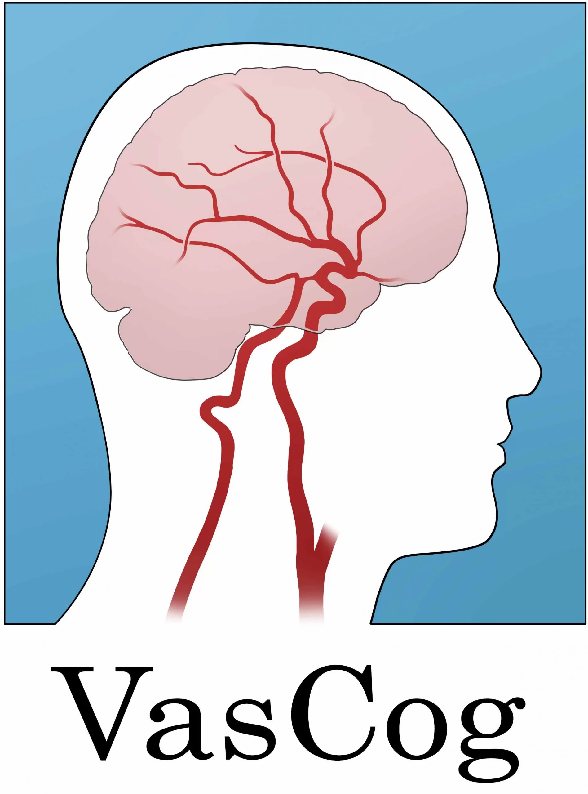 VasCog Logo